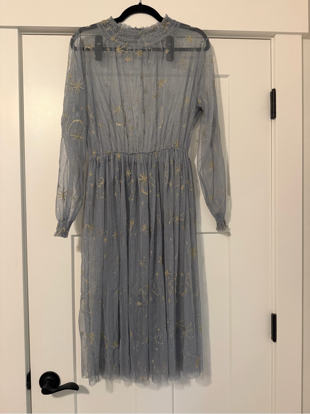 Sheer dress with mock Neck Long Sleeves and Gold Embroidery